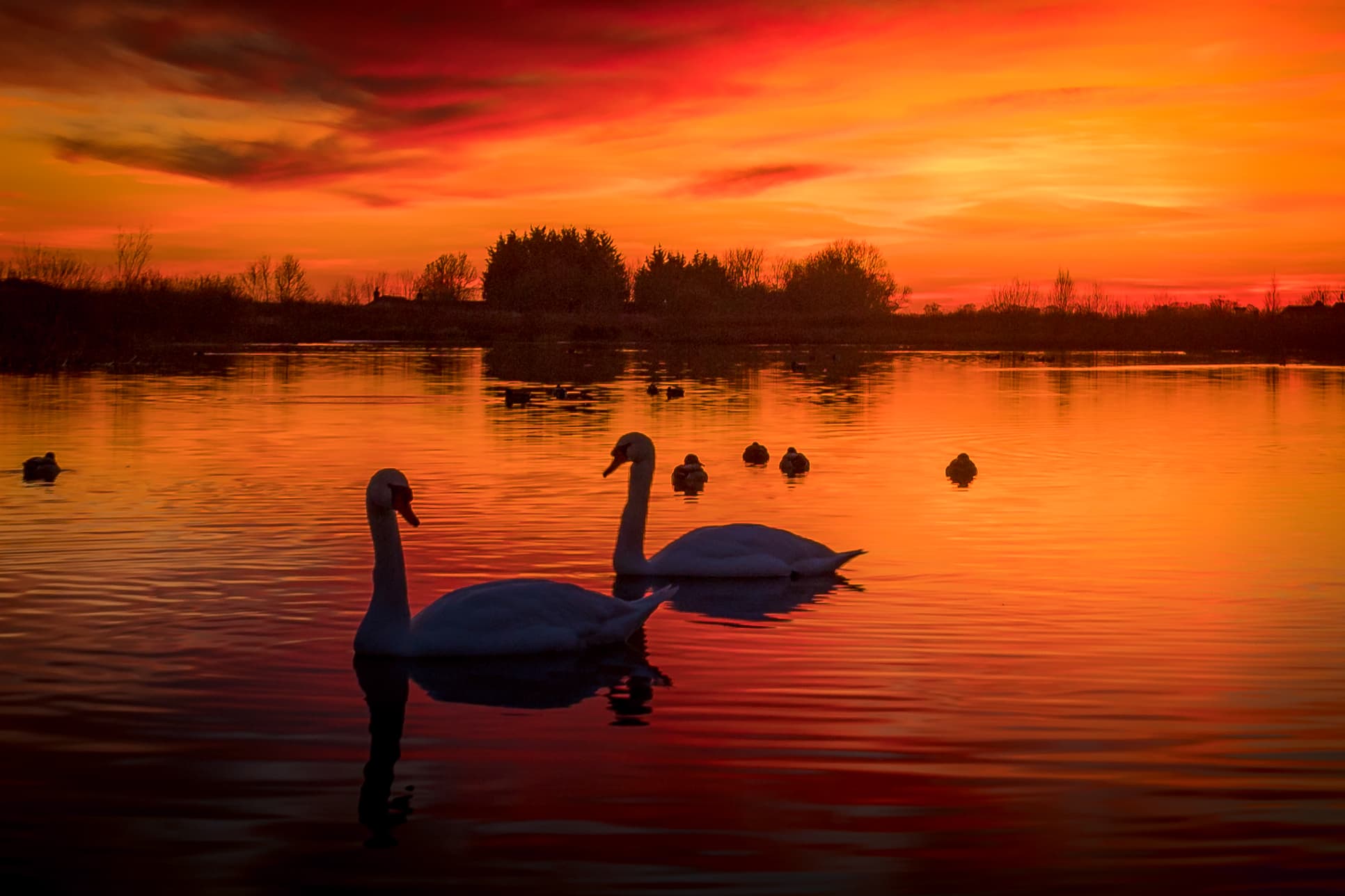 Light, Time & Memory